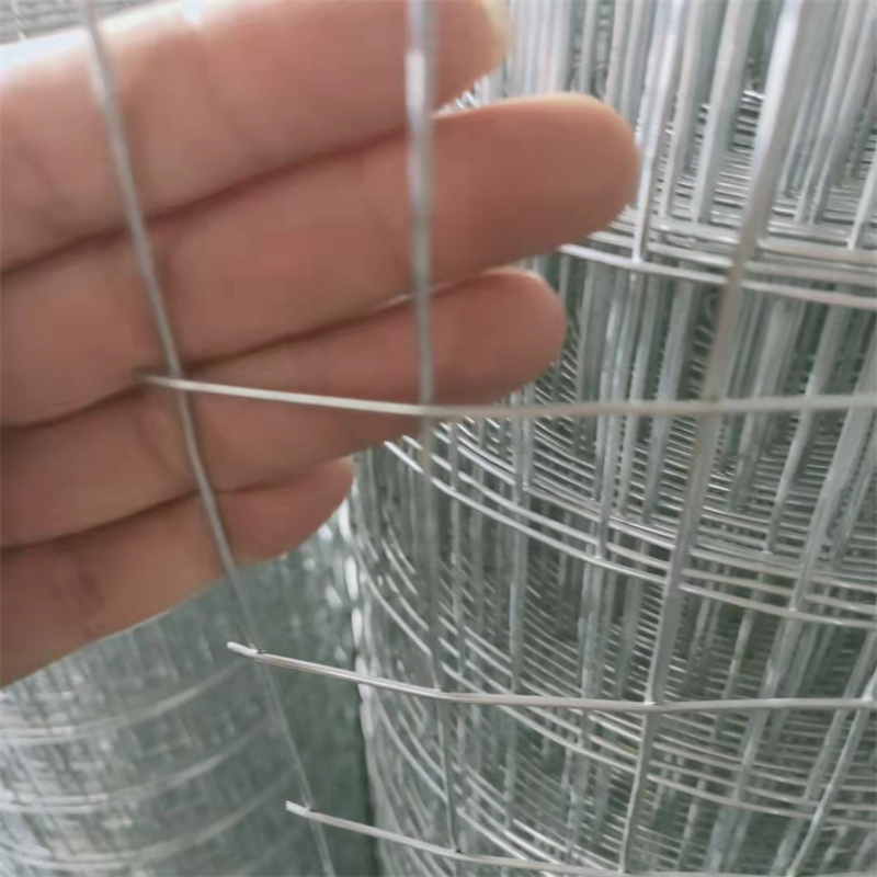 镀锌钢丝网A解放镀锌钢丝网A热镀锌钢丝网生产厂家