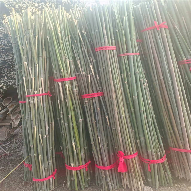 粗细竹子农用菜架竹 艳平竹制品 苗木果树固定杆