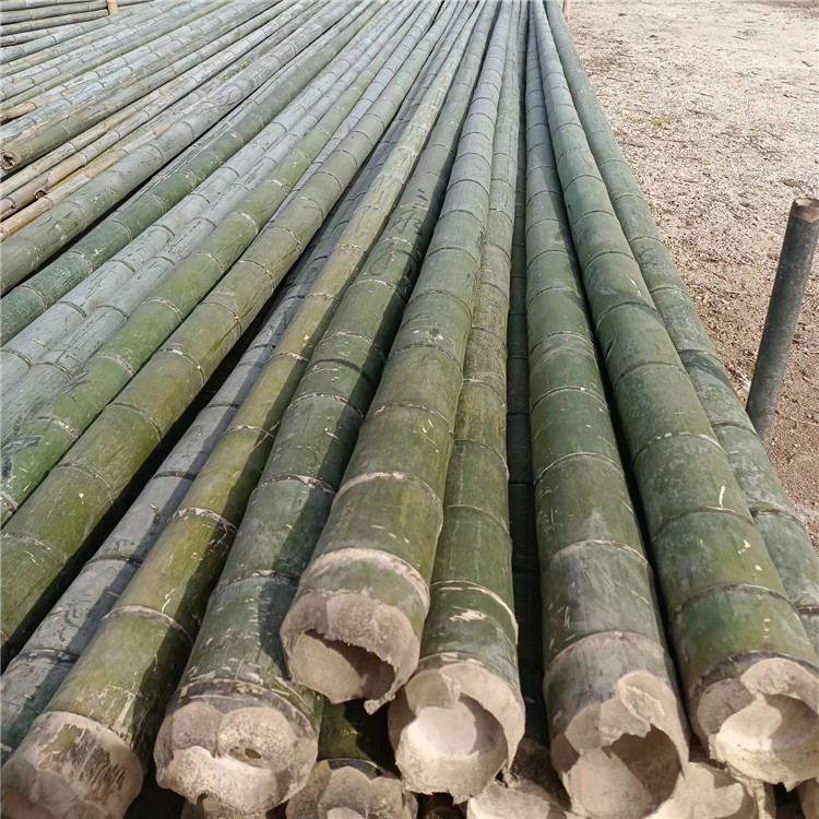 农用搭架竹杆 艳平竹制品 养殖大棚竹竿绿化支撑用竹竿