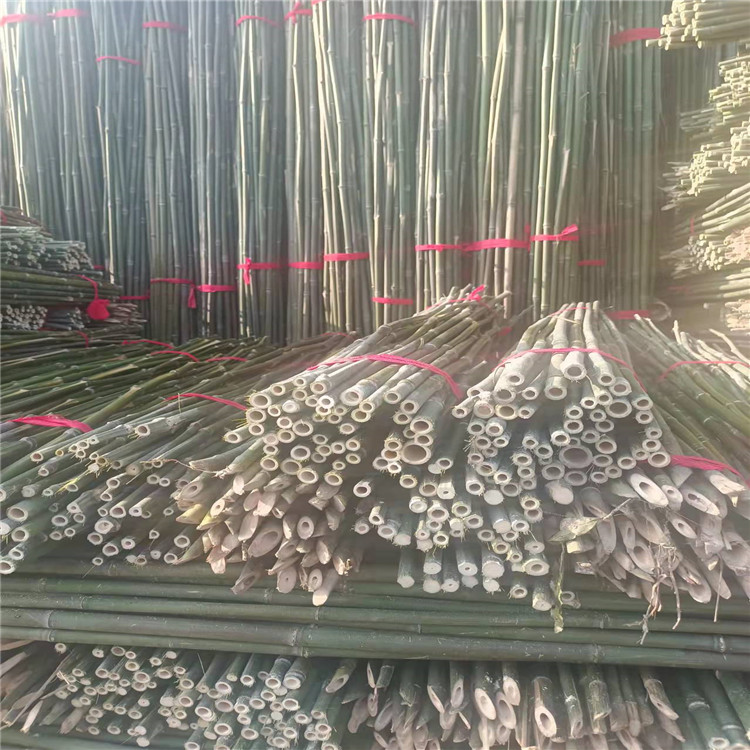 搭架毛竹杆竹竿架产地 艳平竹制品 绿化用竹梢
