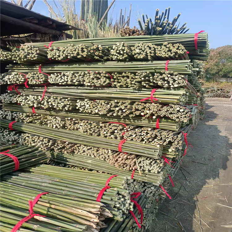 搭架毛竹杆竹竿架产地 艳平竹制品 绿化用竹梢