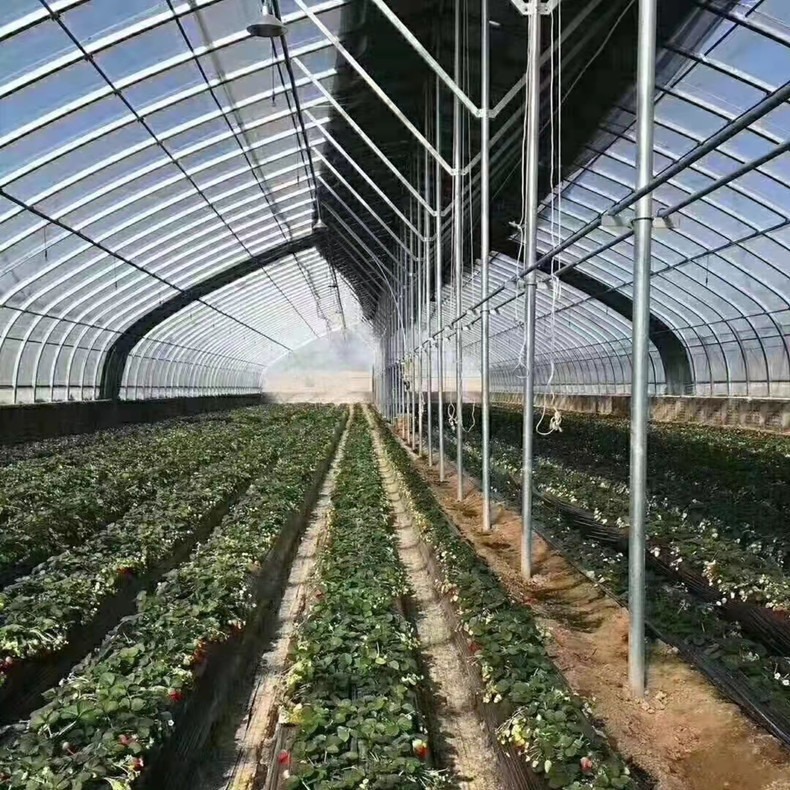 蔬菜大棚建设 采光均匀 结构稳定 保暖抗风 多功能蔬菜大棚