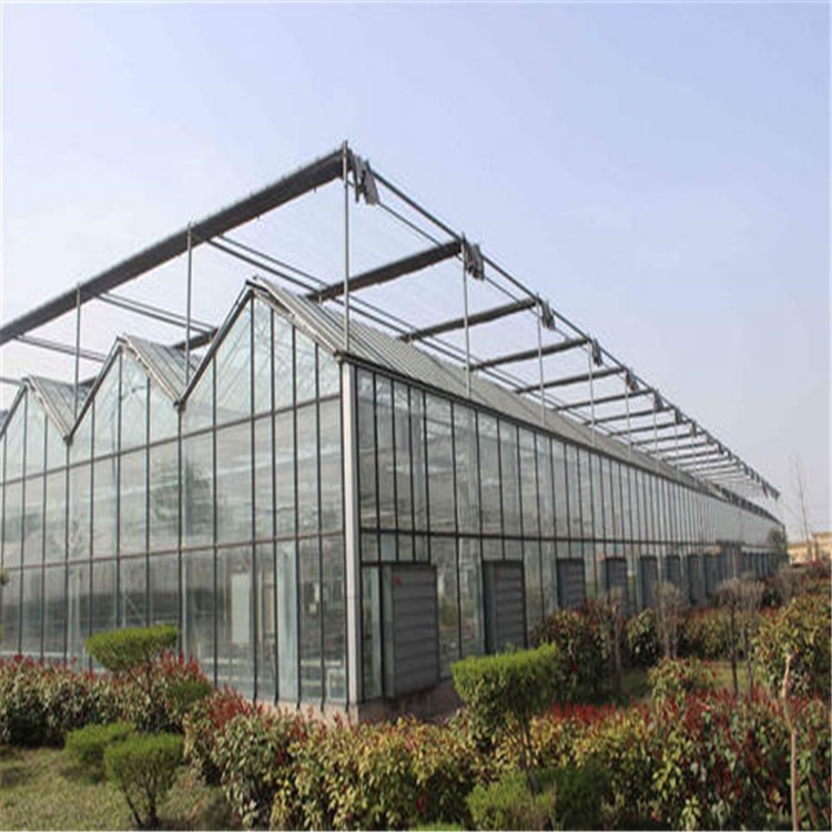 特色pc阳光板温室 陕西纹洛式玻璃温室旭航温室工程建设