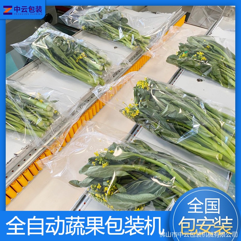 广东全自动蔬菜三伺服包装机 水果打包封口机 中云多功能包装机厂家