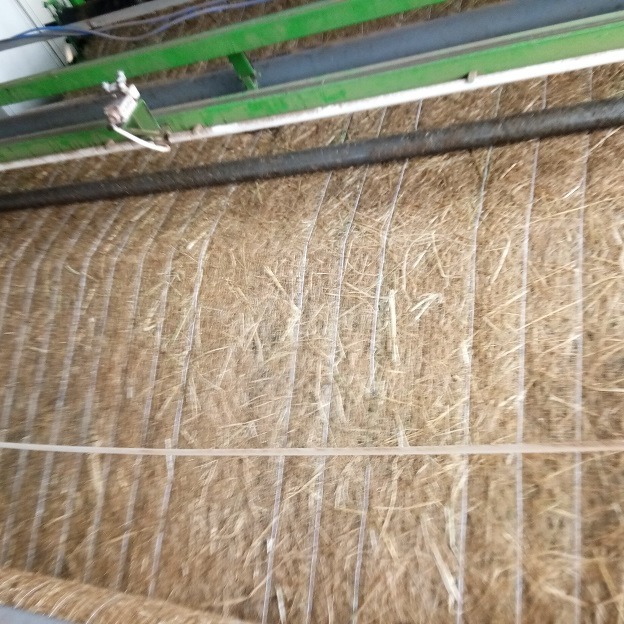 生态植草毯 河道护坡生态绿化植生毯 固土草种椰丝毯 公路养护椰丝毯厂家图片