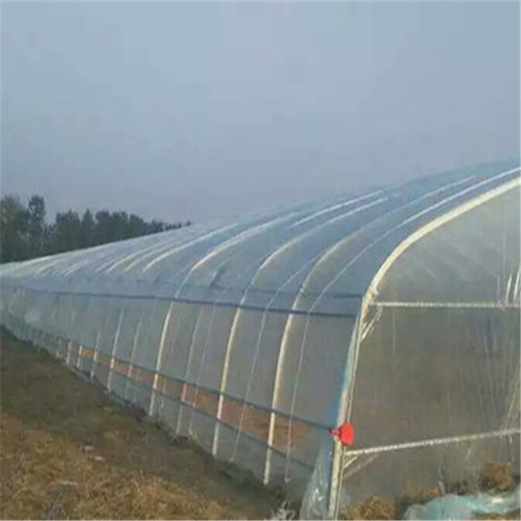 新疆温室建造工程 水果大棚安装公司 旭航温室大棚建设