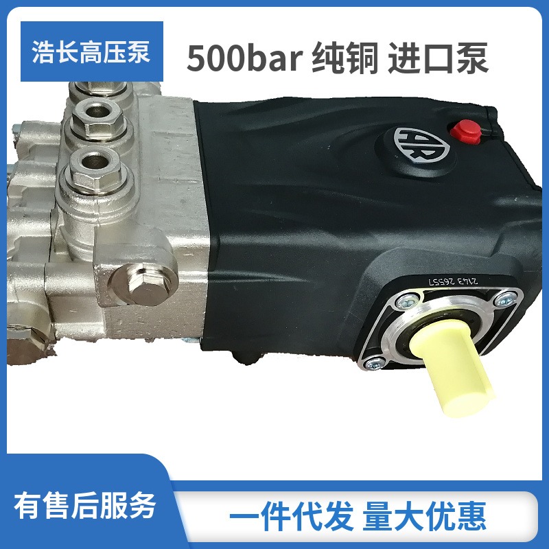 意大利高压泵 rgx2250型500公斤高压泵 进口泵头图片