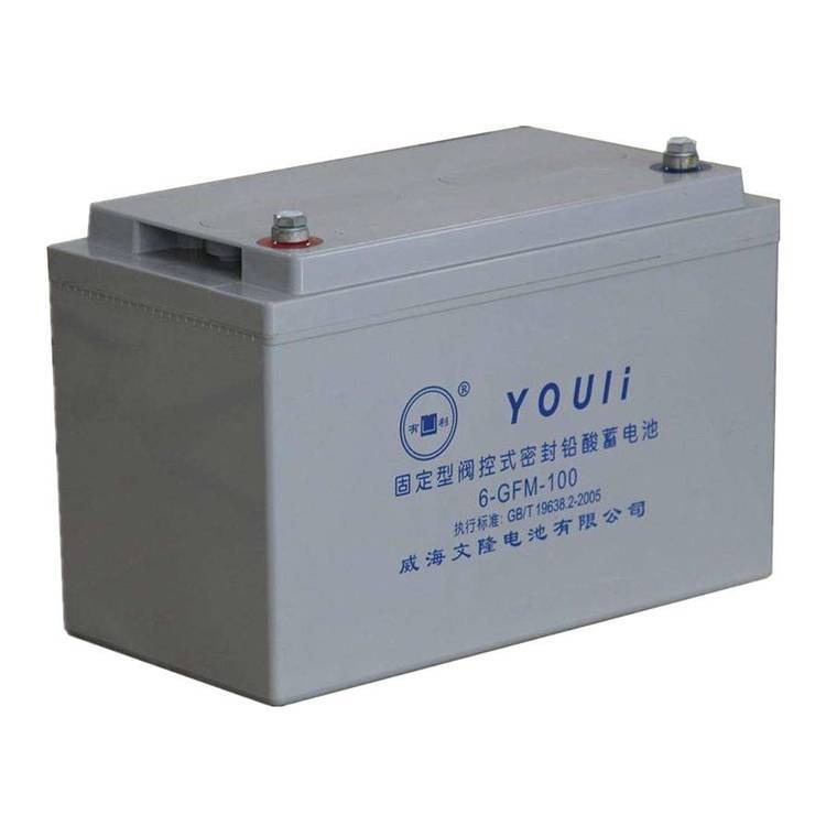 有利YOULI蓄电池6-GFM-100 12V100AH高性能阀控式免维护铅酸蓄电池