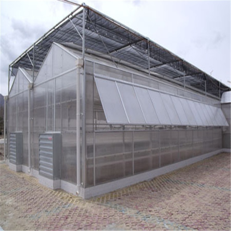 双玻组件大棚安装 节能型文洛温室 墙体温室的造价
