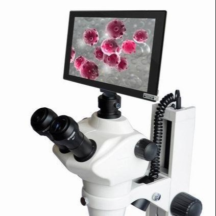 北京华兴瑞安 XTB-606C一体式高清数码显微镜   体视显微镜 XTB-606B三目体视显微镜
