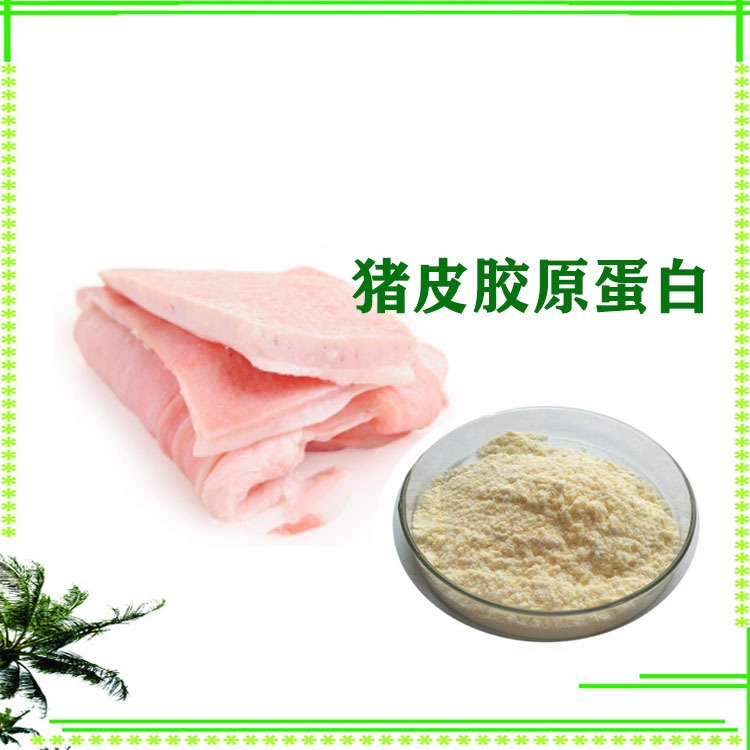 益生祥生物 猪皮胶原蛋白 萃取粉 食品级原料 可定制