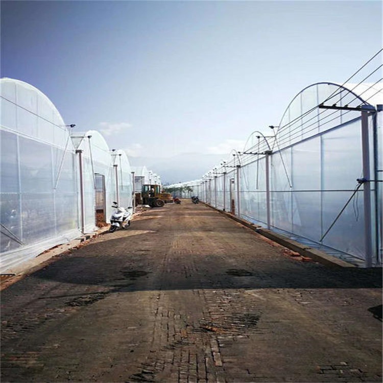 青州连栋温室建设 温室蔬菜种殖大棚旭航温室大棚建造图片