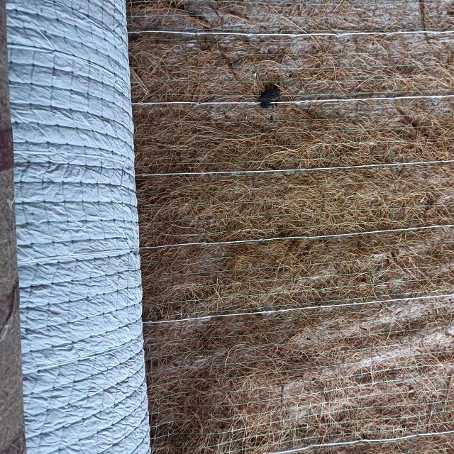 重庆植草毯 矿山边坡绿化生态植被毯 加筋植物纤维毯 护坡植草毯图片