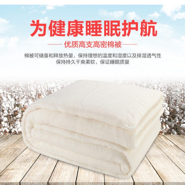 燕诺工厂 生产印花棉被 新疆棉加厚保暖被子 可定制图片