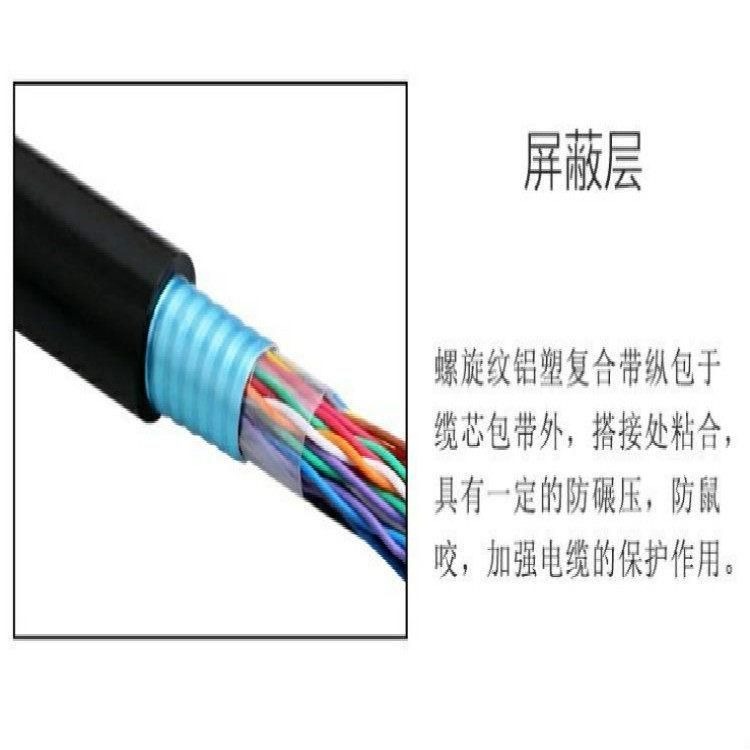 控制电缆  KVV硬芯控制电缆 KVVR软芯控制电缆 24x10 可定制生产