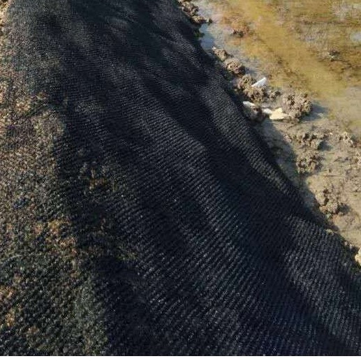 河道护坡 园艺工程 双向水土保护毯 三维水土保护毯