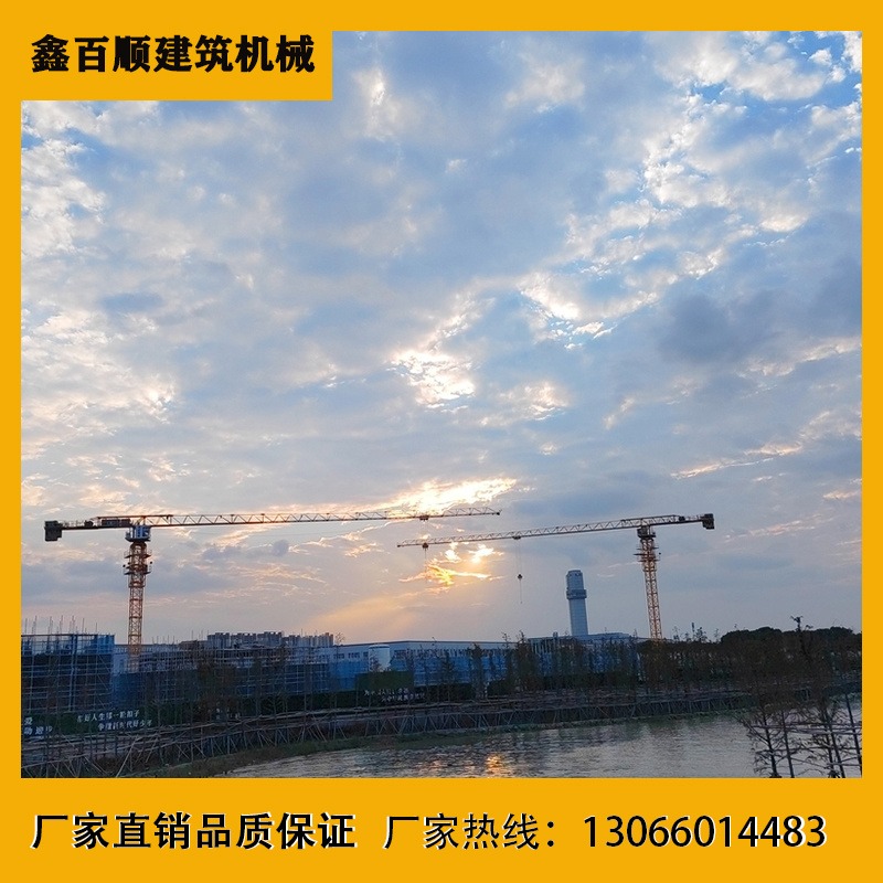 鑫百顺 建筑工地TTC6520-10平头塔吊 塔式起重机活动特惠