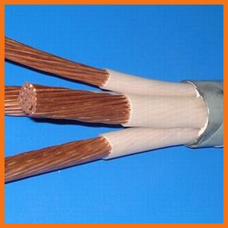YJV-3*4电力电缆 06V/1KV铜芯铜线电缆 YJV电缆 信泰
