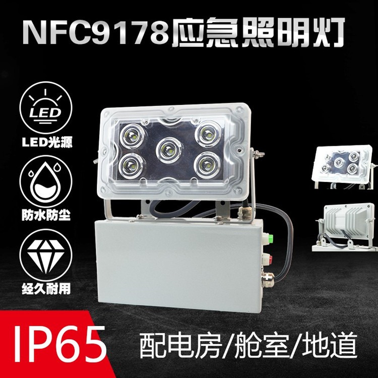 NFE9178应急壁灯 NFC9178顶灯免维护应急led底顶灯三防灯应急壁灯图片