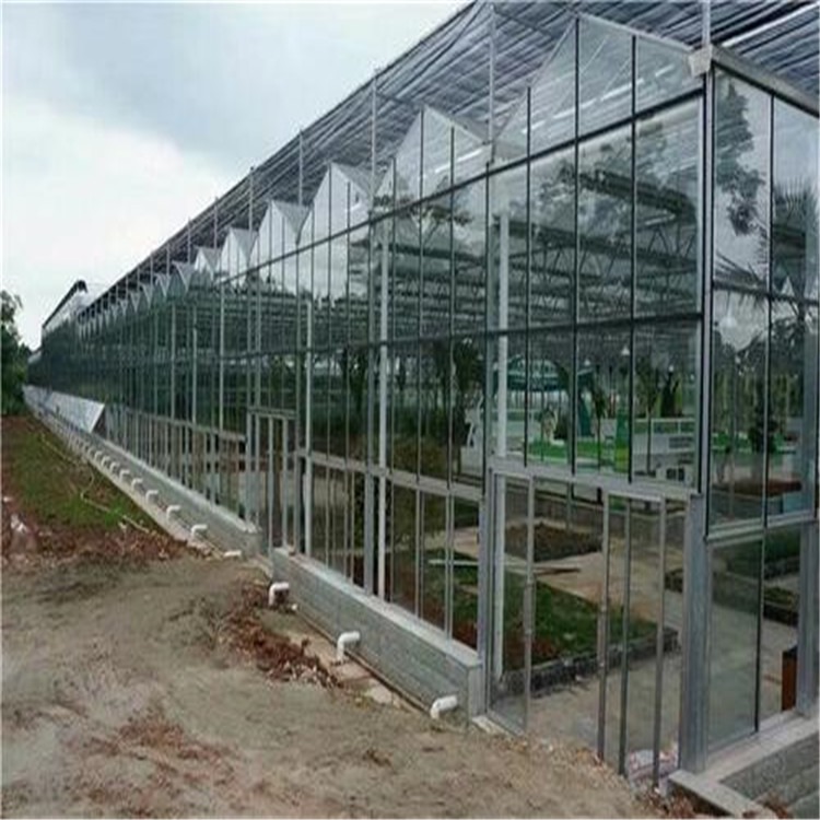 连栋玻璃温室价格  新疆玻璃温室建设厂家  旭航温室