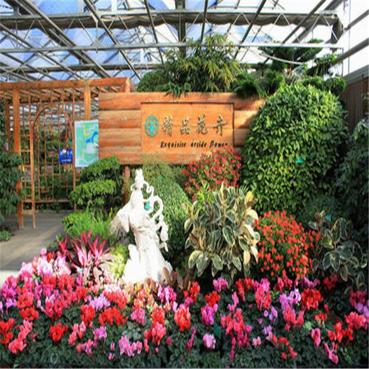 南京热带雨林温室 瓜果大棚搭 旭航温室建设大棚图片