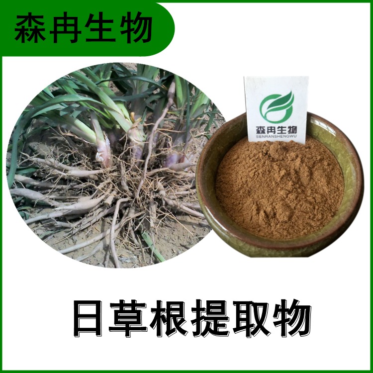 日草根提取物 黄花菜根提取物10:1 植物提取原料粉