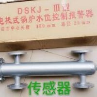 F锅炉水位计控制器 电极式 水位传感器 型号:DS100-DSKJ-IV库号：M62636中西