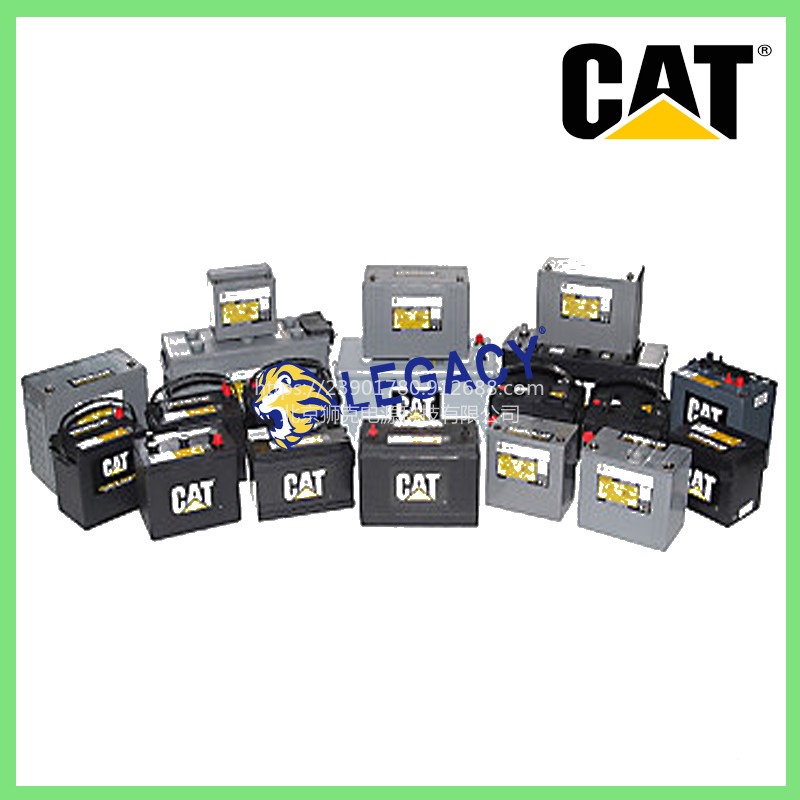美国CAT蓄电池175-4360,12V 100AH电池-四川经销处