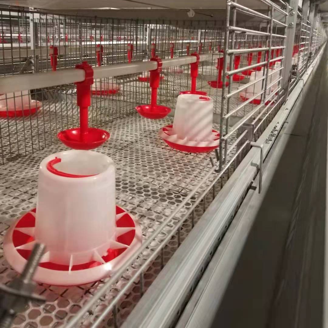 鸡笼 水线 饮水器 养鸡设备 层叠式 阶梯式 蛋鸡 肉鸡 育雏 种鸡 本交笼 喂料机 捡蛋机 清粪机 柏业