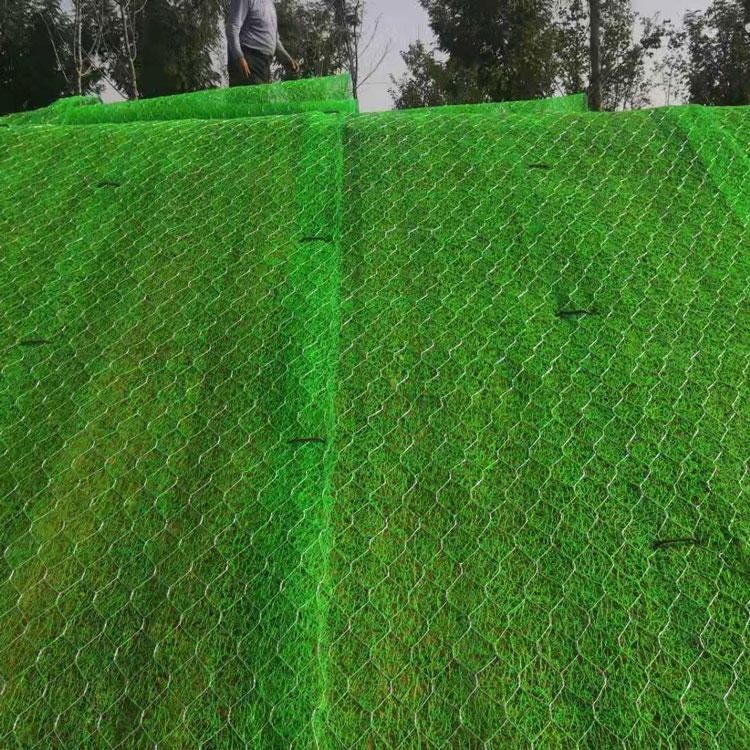 众汇边坡防护生态防护毯煤矿固土绿化图片