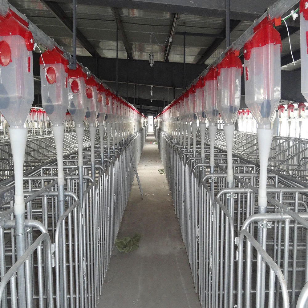 猪场新建设计000自动化喂料线厂家世昌畜牧