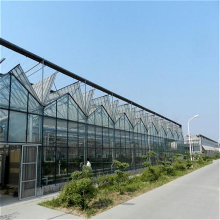 透光板大棚价格 上海种蔬菜大棚搭建 旭航温室工程建设厂家图片