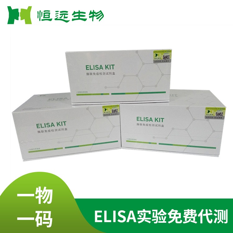恒远生物鱼脂多糖内毒素 (LPS)ELISA试剂盒联免疫厂家
