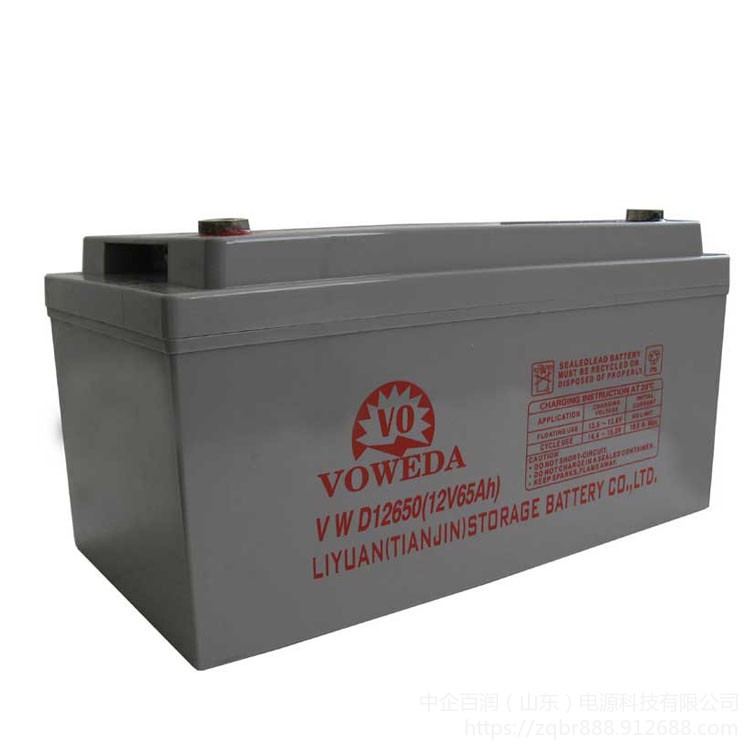 VOWEDA沃威达蓄电池VWD12650(12V65AH) 基站通信备用电源
