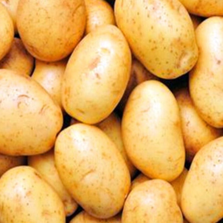 土豆出口到越南，青岛港土豆出口清关商检代理