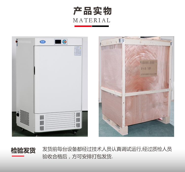 上海笃特MJ-300-II实验室大型霉菌恒温培养箱智能恒温恒湿霉菌培养箱示例图8