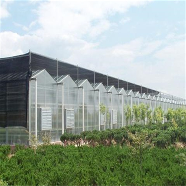 山西阳光板温室工程 阳光板钢架保暖大棚 旭航温室大棚建设