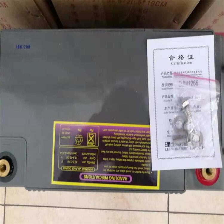 上海理士蓄电池机房专用电池DJM12100S现货供应
