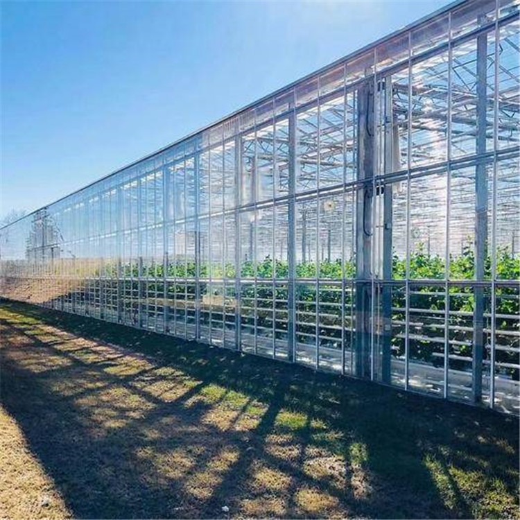 生态玻璃温室设计厂家 哈尔滨农业大棚企业 旭航温室大棚企业图片