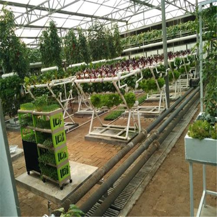呼伦贝尔植物园温室安装 新型农业大棚报价 旭航温室大棚建设