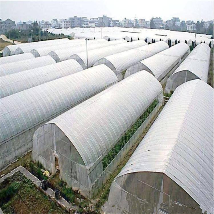 农业温室大棚厂家 育苗暖棚 蔬菜种植暖棚 养鱼温室大棚搭建
