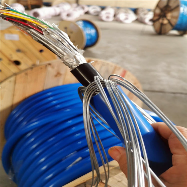 MHYA32矿用通信电缆 8021/0.8 天联牌 煤矿用钢丝铠装电缆