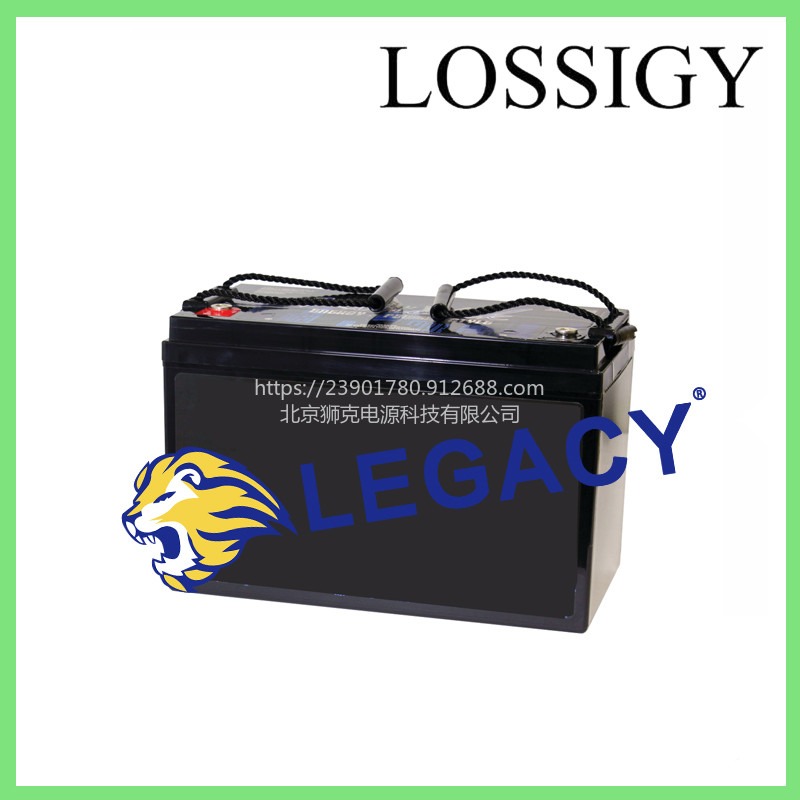 美国LOSSIGY锂电池LOSSIGY 12V100AH 深循环锂离子充电电池图片