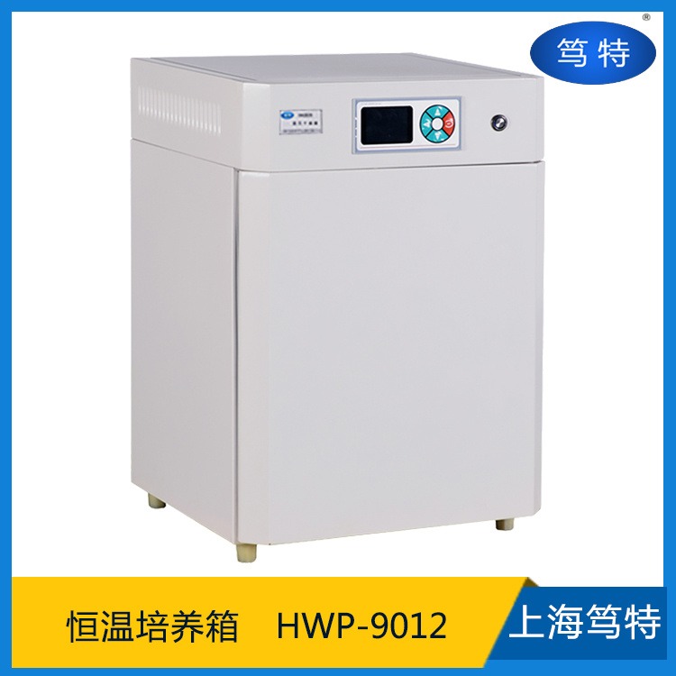 上海笃特厂家直销HWP-9012实验室小型培养箱 电热恒温培养箱