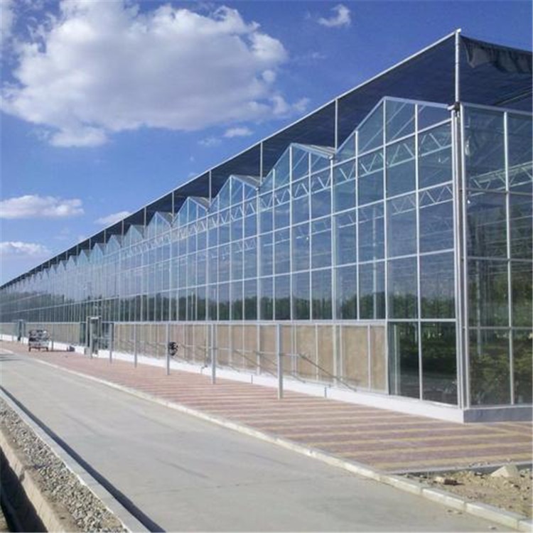 专业建造玻璃连栋温室 台湾新型智能温室工程旭航温室工程建设厂家