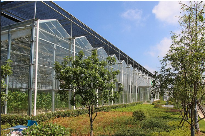 建源温室工程建造简单蔬菜大棚厂家立体无土栽培温室
