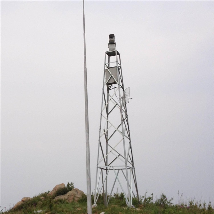 定制设计河道环保监测塔  山顶防火监控塔 15米边防监控塔 泰翔 质保30年