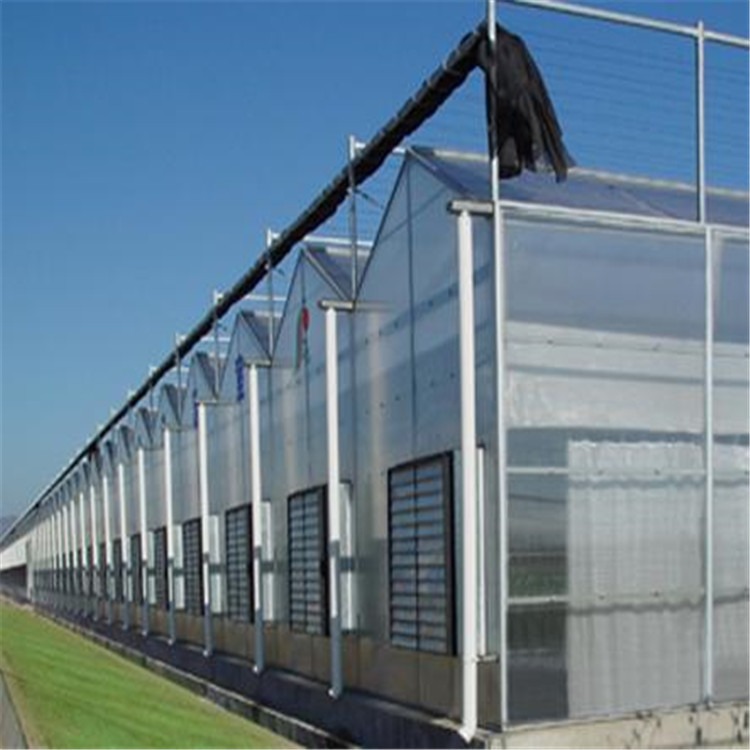 四川玻璃温室大棚建设  农业生态玻璃大棚 旭航