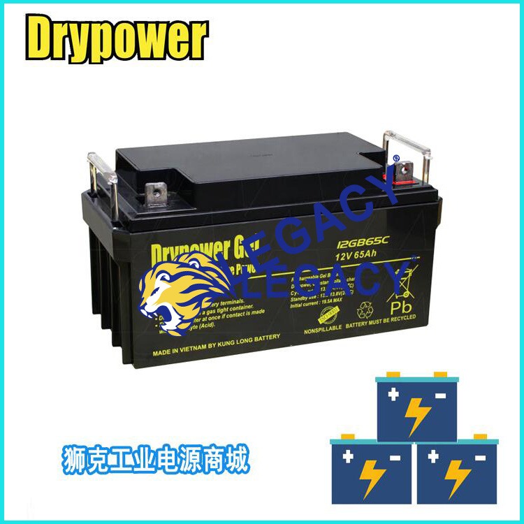 美国DRYPOWER蓄电池12GB36C 12V36AH工业储能UPS电池进口电池电瓶