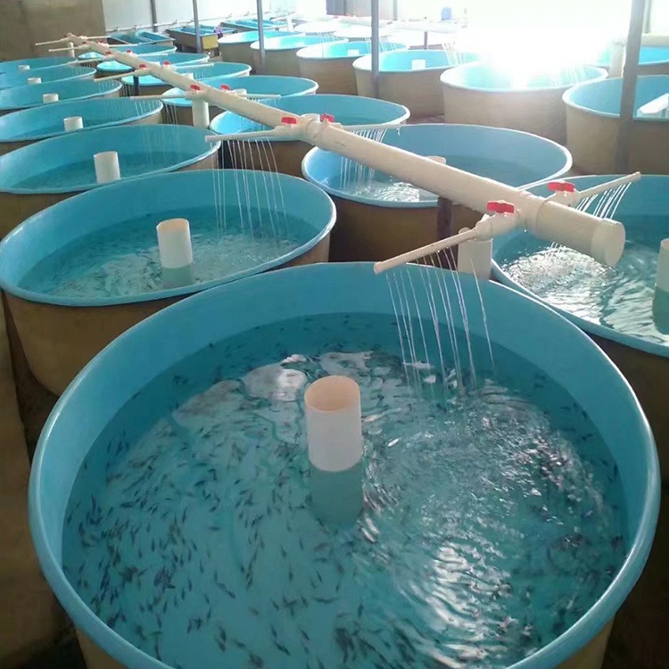 鱼苗孵化池 玻璃钢养鱼池 水产养殖盆 乌龟养殖盆 腾广制造 鱼苗池图片